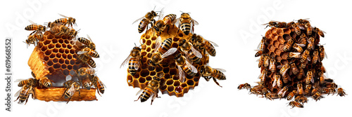 Busy Beehive isolated on white background.  PNG set transparent