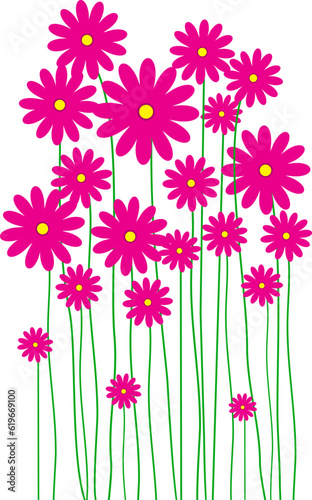 Flowers. Flowers Illustration. Flowers Nature. Flowers Isolated on White Background. Vector illustration. Elements for design. Flowers Spring. © thailerderden10