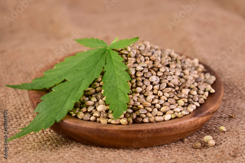 Hemp seeds in a wooden plate. Super food. Healthy food. Close-up. 