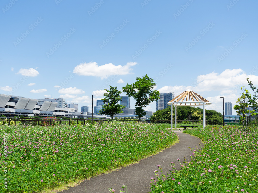 有明北緑道公園から豊洲市場 快晴で気持ち良い