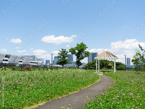 Obraz na płótnie 有明北緑道公園から豊洲市場 快晴で気持ち良い w salonie