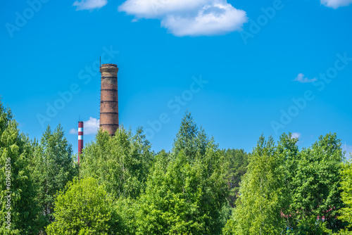 Obraz na płótnie a tall brick chimney of a stoker in the forest.
