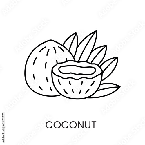 Enhance your designs with the Coconut Icon in Vector Format, a sleek line representation that adds a touch of exoticism and natural beauty.