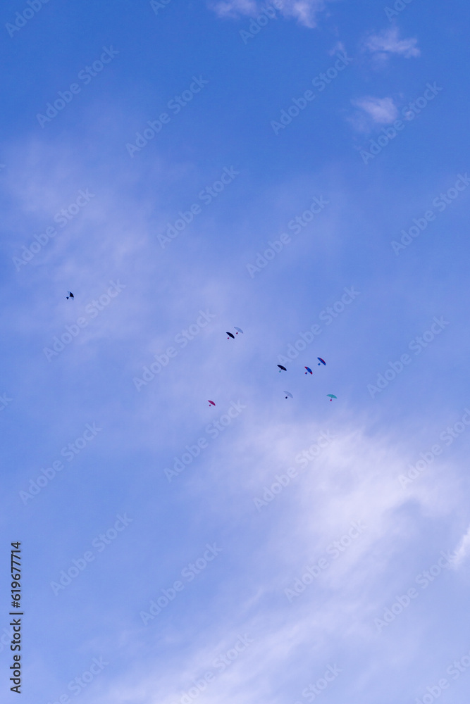Colorful kites flying in the sky. a group of kites flying against blue sky