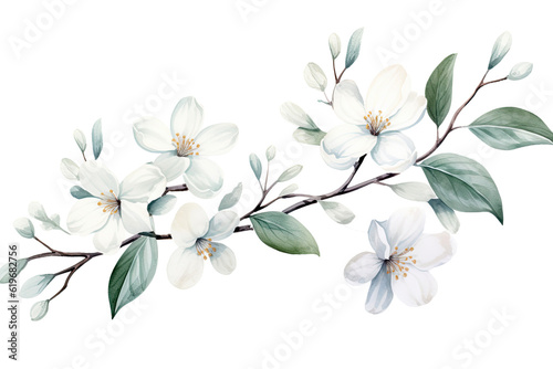 Fototapeta Naklejka Na Ścianę i Meble -  Watercolor of Tropical spring floral green leaves and flowers elements isolated on transparent png background, bouquets greeting or wedding card decoration, with Generative Ai.