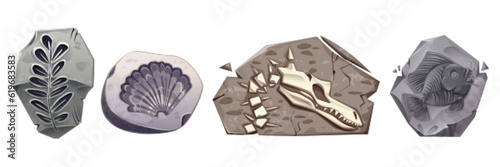 Archaeology icons with stones with fossil dinosaur skeletons, plants, shell and prehistoric fish. Paleontology collection with dino skull in rock, seashell and leaves, vector cartoon set