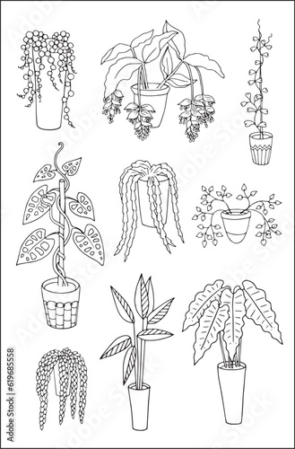 Set of vector vegetal decorative elements, contours of plants in black and white, different forms of houseplants in pots. Vector illustration.