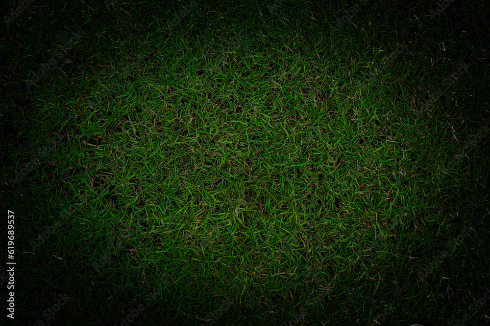 Green grass leaf textured for background usage. in dark tone, with dark border vignette.