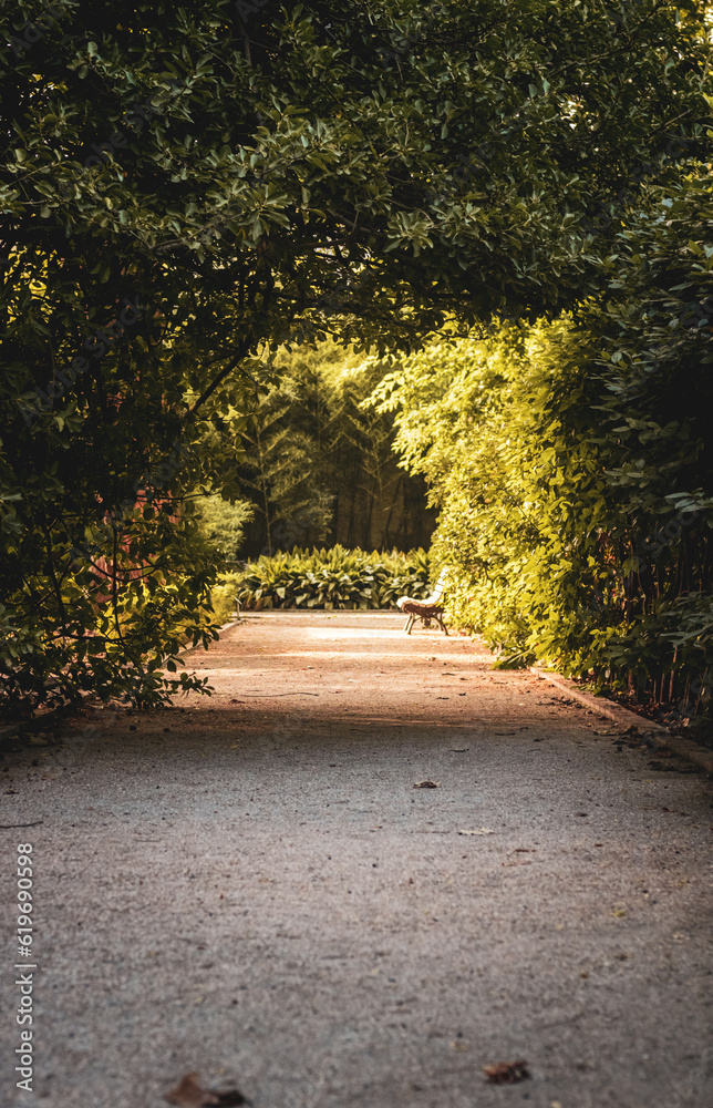 path in the park