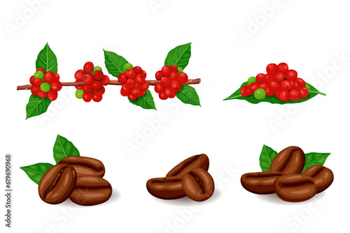 Freshly roasted coffee beans with leaves isolated on white background.Vector eps 10.