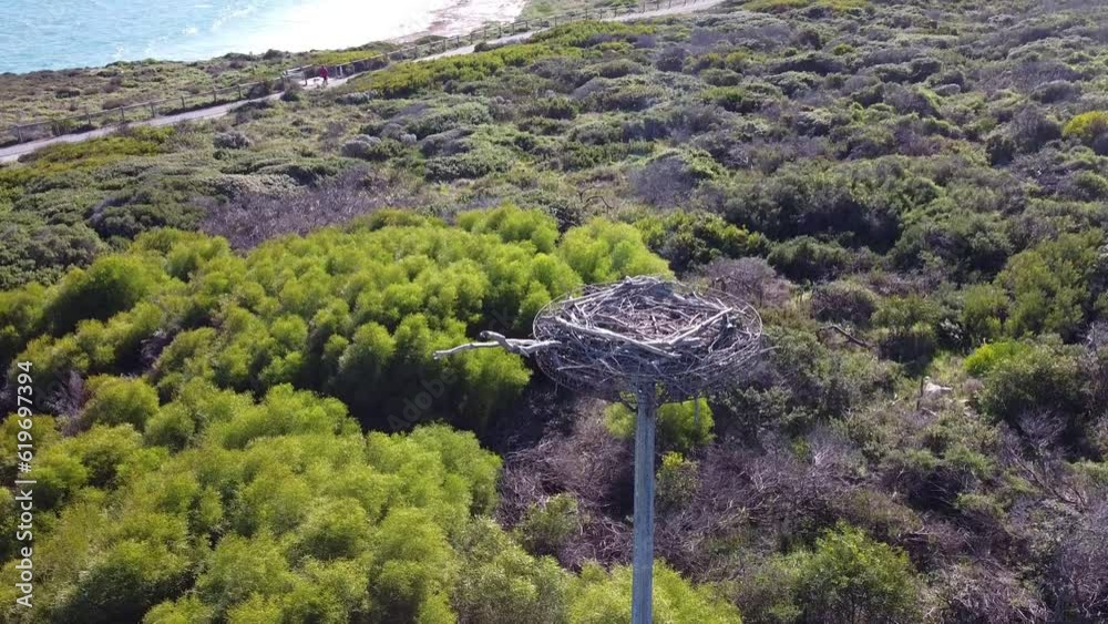 Close Up View Of Artificial Eagles Nest To Reveal Coastal Path Winding Along dunes, Perth
