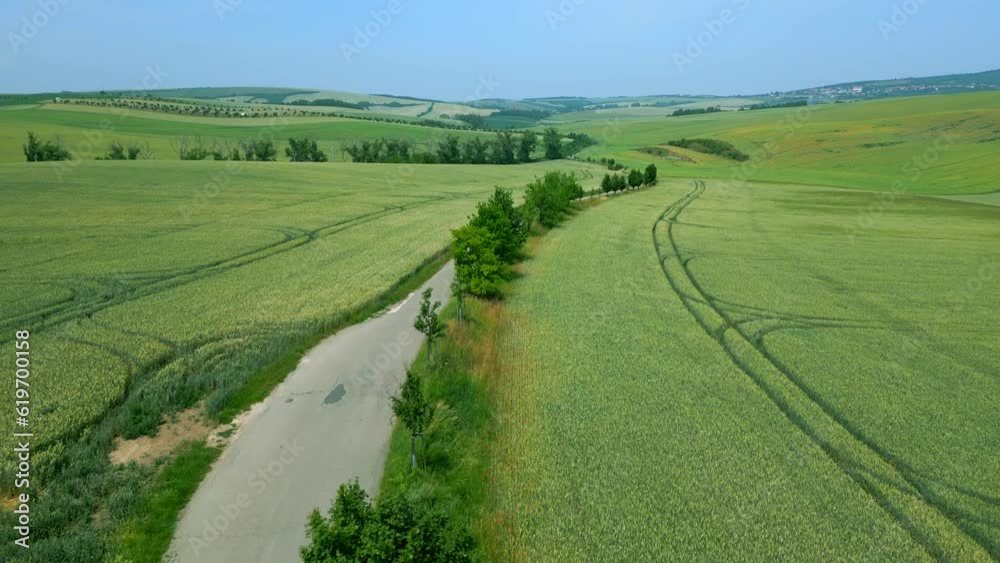 Rolling agricultural fields in the Moravian region, a narrow road carved through the farmlands, Czech Republic, Aerial shot Rolling agricultural fields in the Moravian region, a narrow road carved through the farmlands, Czech Republic, Aerial shot