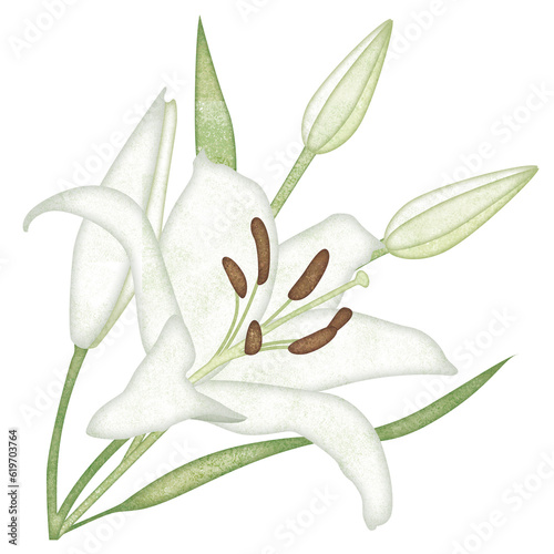 Wallpaper Mural ゆりの花のイラスト Torontodigital.ca