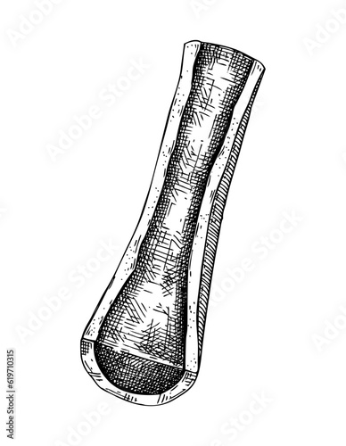 Slice of big marrowbone with meat sketch. Cooked bone isolated on white background. Hand drawn healthy food illustration for butchery, recipes, menu in vintage style.