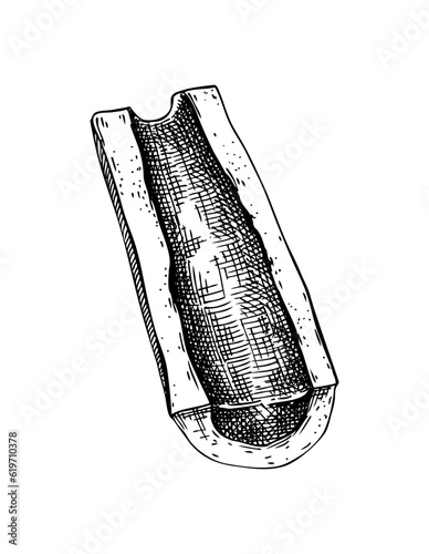 Slice of big marrowbone with meat sketch. Cooked bone isolated on white background. Hand drawn healthy food illustration for butchery, recipes, menu in vintage style.