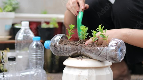 Women Planting seedlings in plastic bottles at home for recycle water bottle pot.