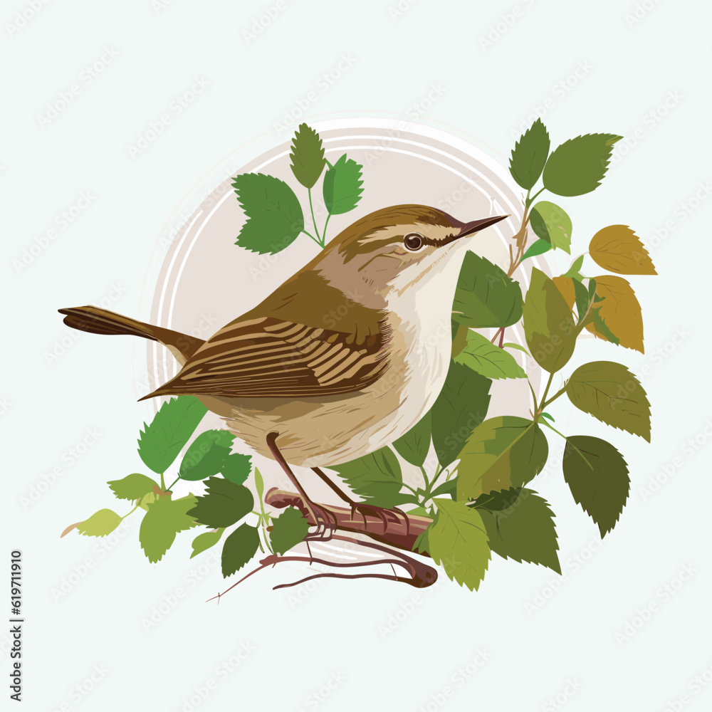 Fotografie vector cute bush warbler cartoon style