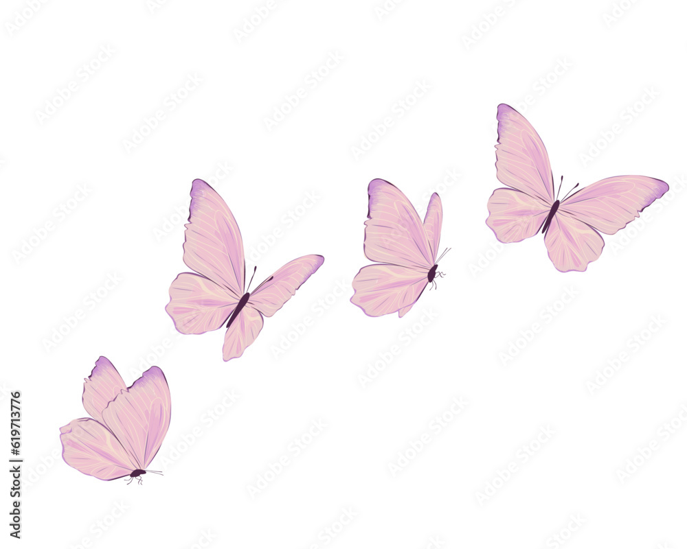 pink butterfly on white background - obrazy, fototapety, plakaty 