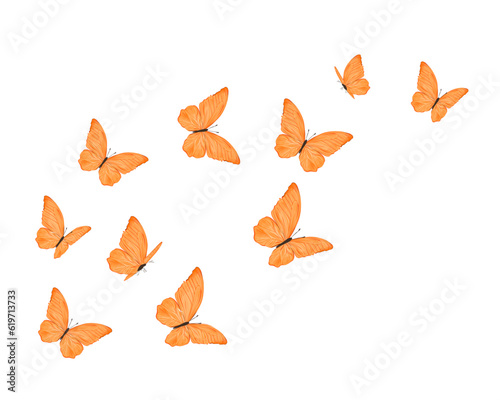 autumn leaves isolated on white butterly