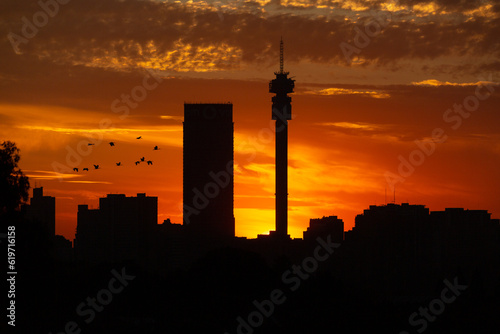 Birds over Johannesburg