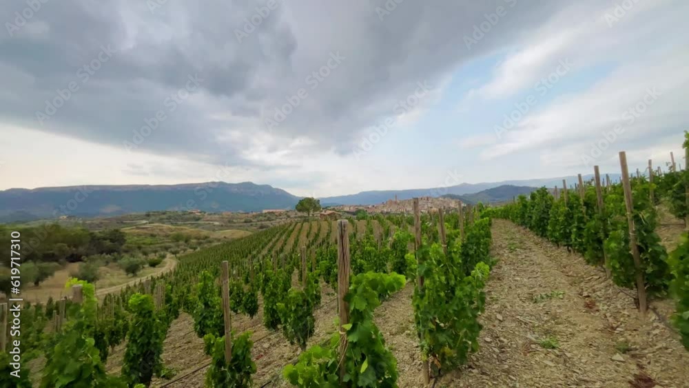 Vineyards in the wine region of the Priorat designation of origin in the province of Tarragona in Catalonia Spain
Vineyards in the wine region of the Priorat designation of origin in the province of Tarragona in Catalonia Spain