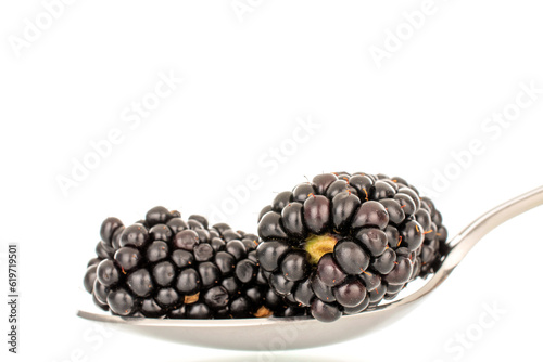 A few berries of ripe blackberries with a metal spoon, macro, isolated on a white background.