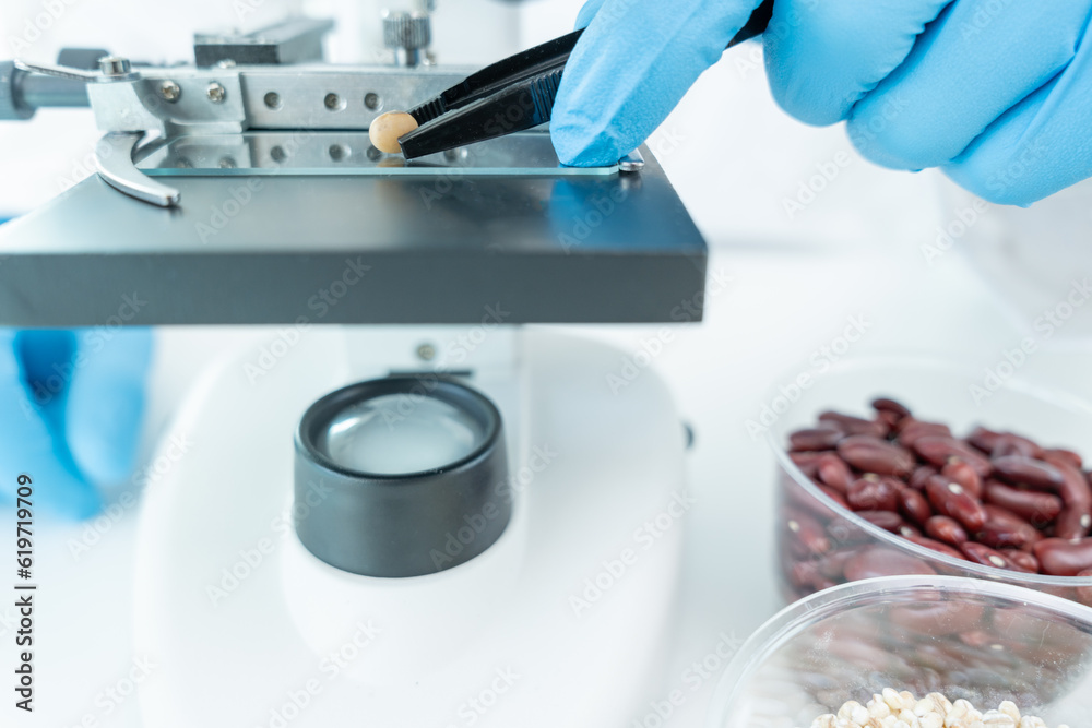 Scientist check chemical whole grains residues in laboratory. Control ...