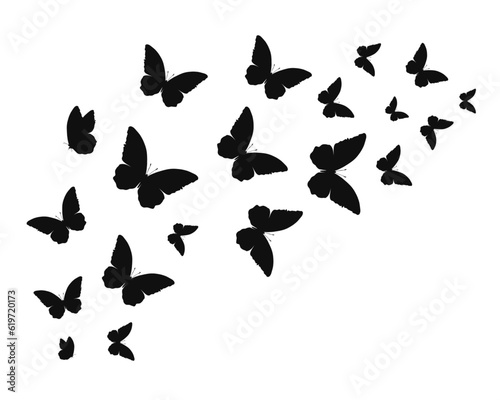 set of butterflies