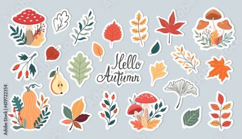Vector set of autumn plants, mushrooms