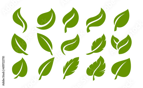 Set of simple flat organic leaf design template