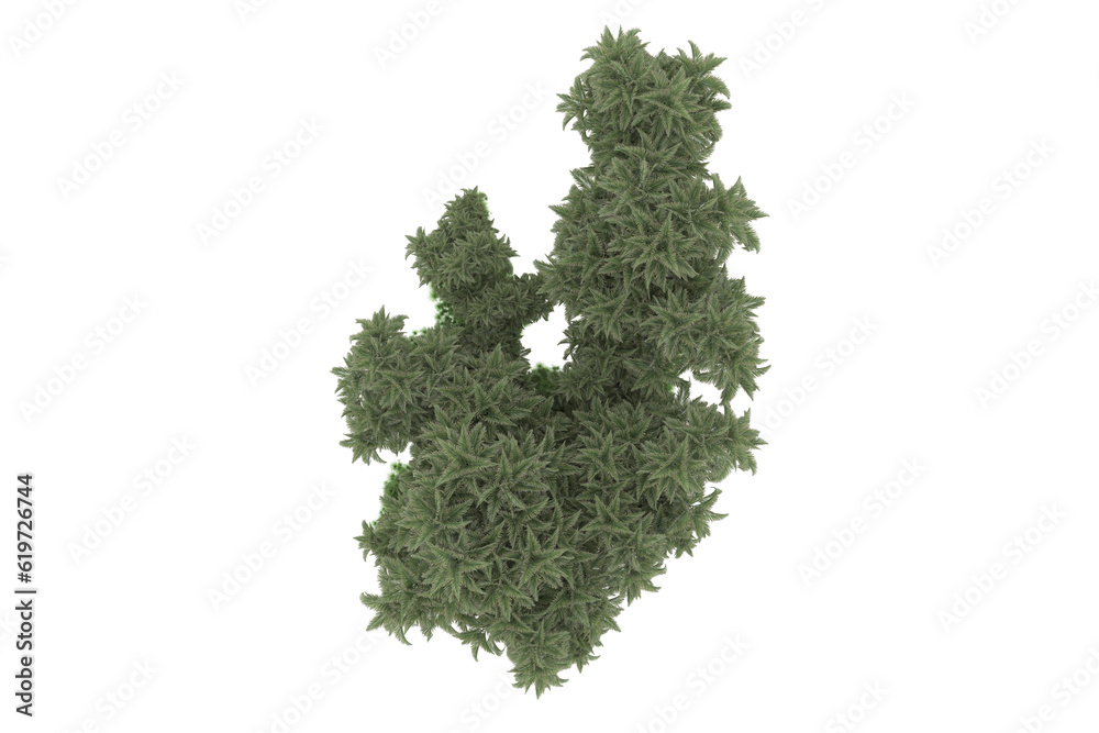 Fototapeta premium Tropical island isolated on transparent background. 3d rendering - illustration