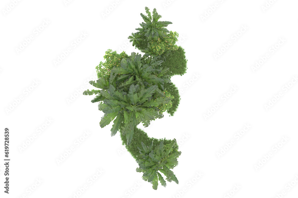 Fototapeta premium Tropical island isolated on transparent background. 3d rendering - illustration