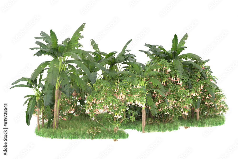 Fototapeta premium Tropical island isolated on transparent background. 3d rendering - illustration