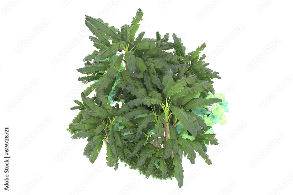 Fototapeta premium Tropical island isolated on transparent background. 3d rendering - illustration