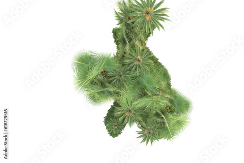 Tropical island isolated on transparent background. 3d rendering - illustration