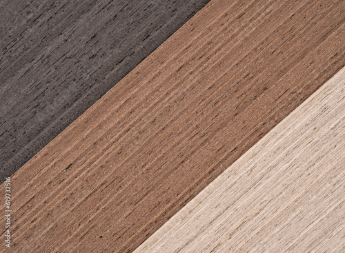 Palette of wood decor samples with different colours and textures. Sample of wood chipboard. Wooden laminate veneer material for interior architecture and construction or furniture finishing