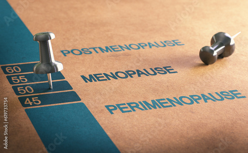 Average menopause age timeline.