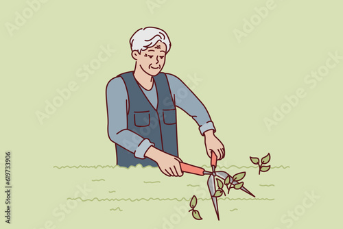 Elderly man gardener is pruning bushes in park using large tree shears. Gray-haired old gardener works on landscaping garden or city area and cuts off extra branches from vegetation
