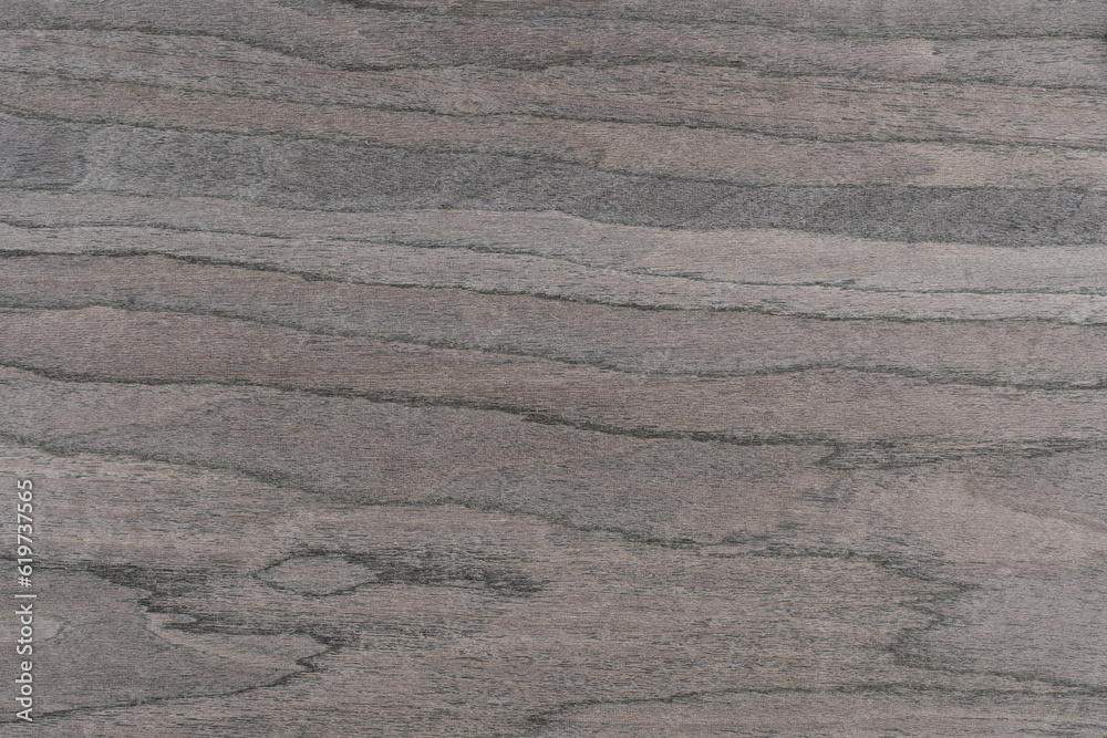 Oak. A palette of wood decor samples of different colors and textures. Wooden brown panel with natural wood texture. Wood with a beautiful organic pattern Oak. A palette of wood decor samples of different colors and textures. Wooden brown panel with natural wood texture. Wood with a beautiful organic pattern
