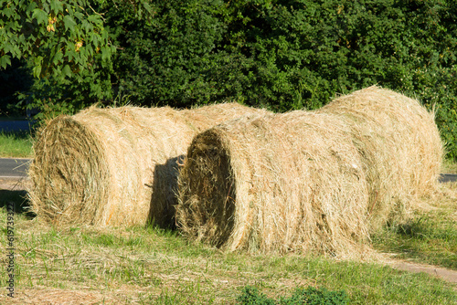 Straw bales of cut grass along roadside with bushes in background