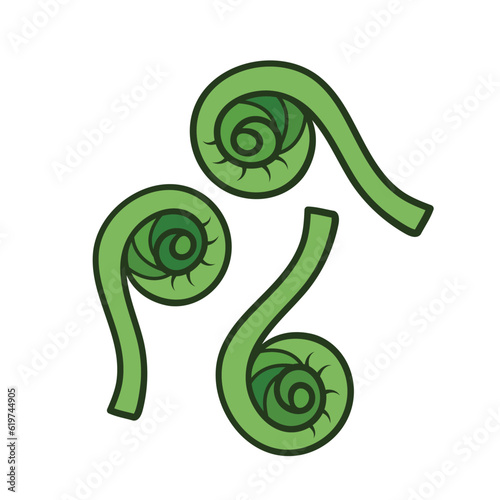 Three fiddleheads vegetable vector icon green colored illustration isolated on square white background. Simple flat cartoon vegetable healthy natural food ingredients drawing. photo