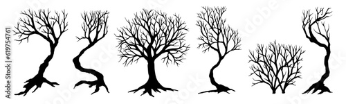 A set of silhouettes of various trees, shrubs.Vector graphics.