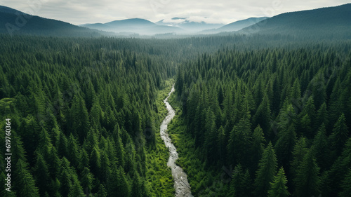 Foggy drone photo from DJI Mini Pro 3 , taken in Willamette National Forest Oregon 