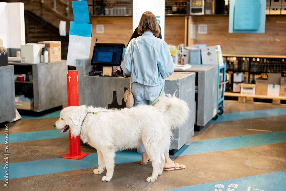 Woman with her cute white dog visiting supermarket, paying on a cash register while her pet waiting on floor Woman with her cute white dog visiting supermarket, paying on a cash register while her pet waiting on floor