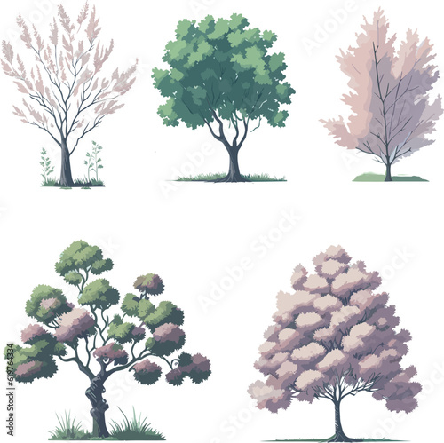Minimal style tree painting hand drawn. Spring tree watercolor vector illustration. Set of graphics trees elements drawing for architecture and landscape design.