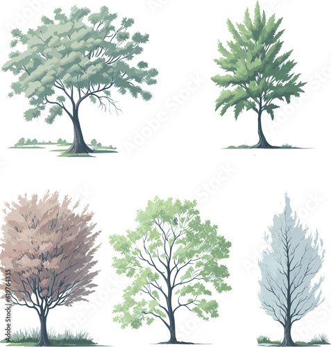 Minimal style tree painting hand drawn. Spring tree watercolor vector illustration. Set of graphics trees elements drawing for architecture and landscape design.