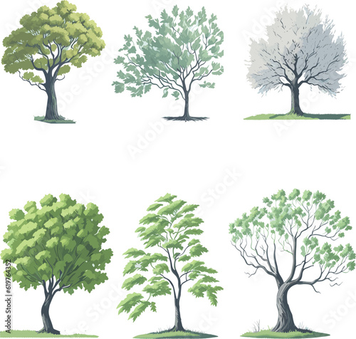 Minimal style tree painting hand drawn. Spring tree watercolor vector illustration. Set of graphics trees elements drawing for architecture and landscape design.