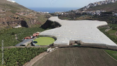 Fantstic dolly in aerial view over banana plantations and greenhouses very close to the coast, in Tenoya, on the island of Gran Canaria and on a sunny day. photo