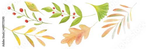 autumn leaves watercolor 