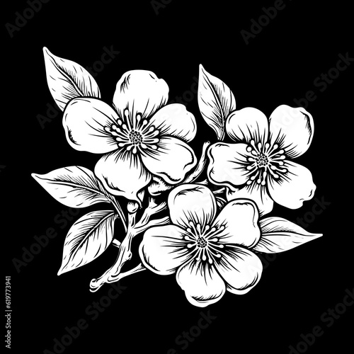 Apple tree branch with flower, vector illustration.